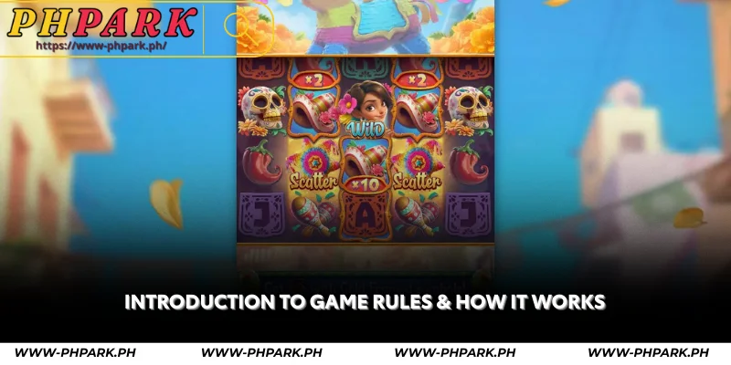 introduction to game rules & how it works